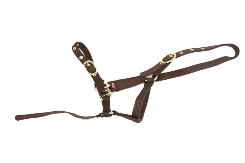 Equisential Nylon Headcollar Weanling Brown